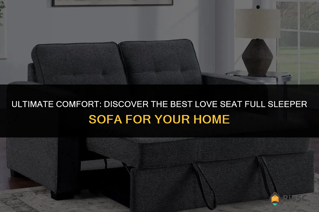 best love seat full sleeper sofa
