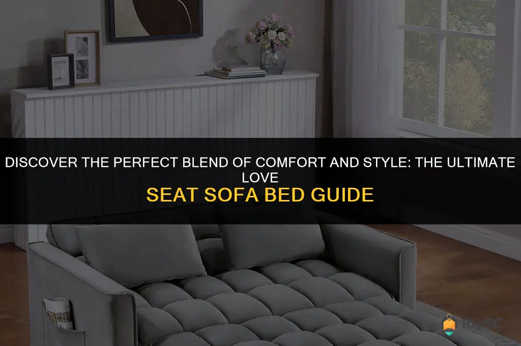 best love seat sofa bed