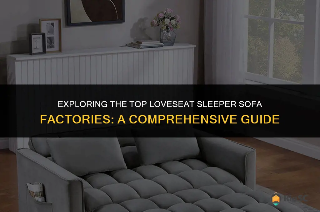 best loveseat sleeper sofa factories