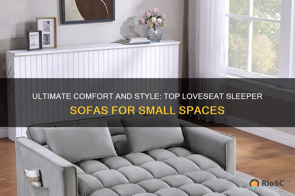 best loveseat sleeper sofa