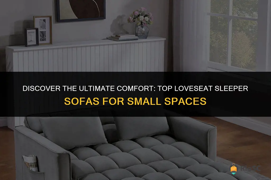 best loveseat sleeper sofas