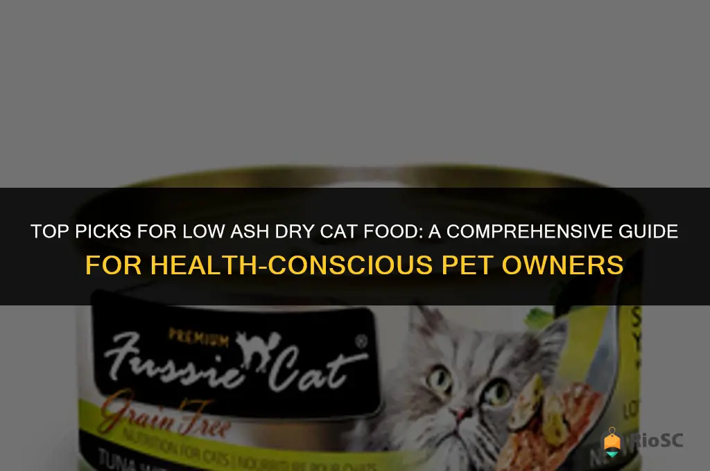 best low ash dry cat food