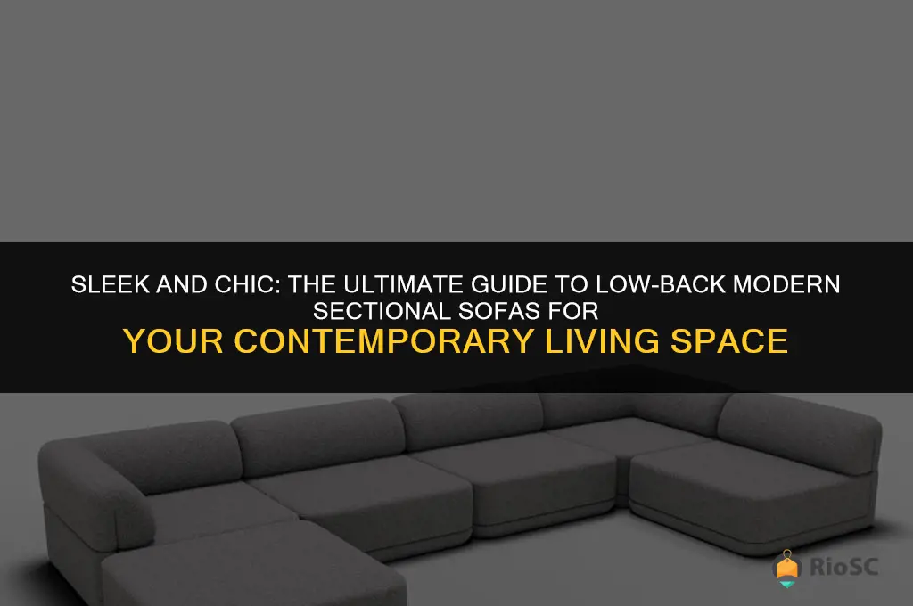 best low back modern sectional sofa