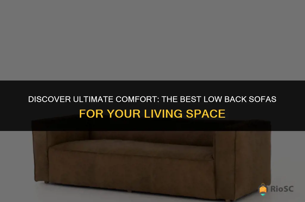best low back sofas