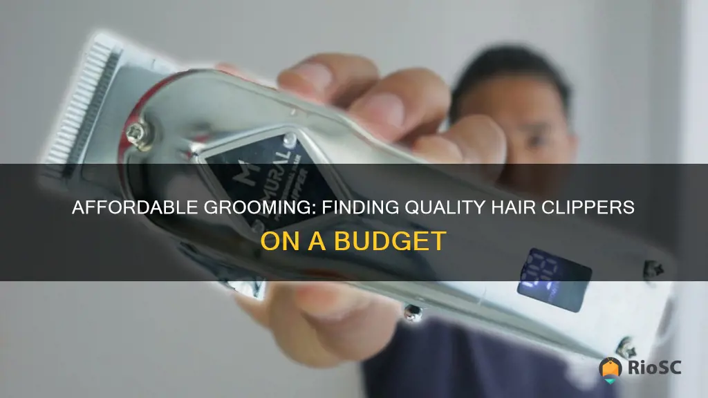 best low budget hair clippers