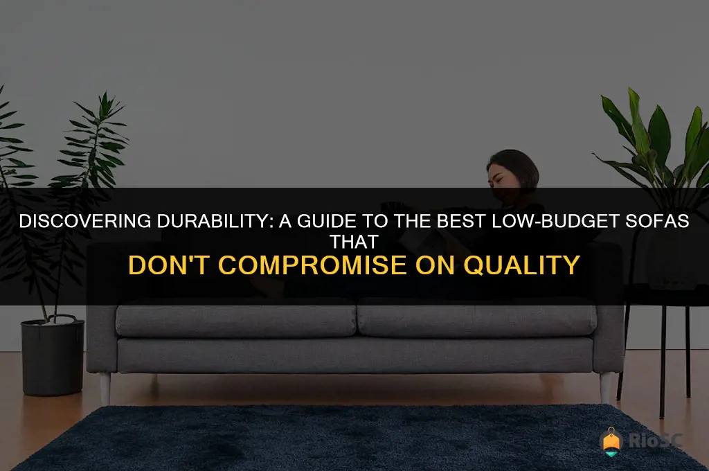 best low budget sofa quality