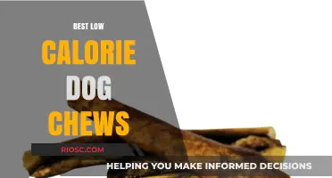 Healthy and Delicious: Top Low-Calorie Dog Chews for Your Furry Friend