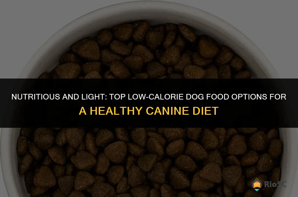 best low calorie dog food