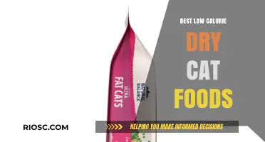 Top Picks for Healthy Feline Diets: Best Low Calorie Dry Cat Foods