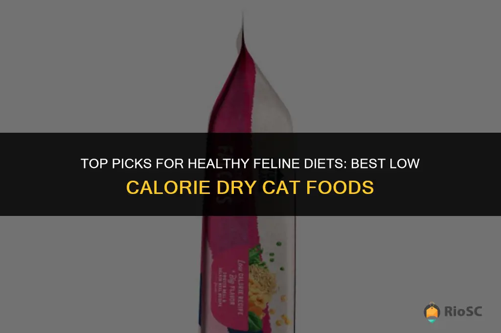 best low calorie dry cat foods