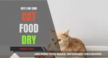 Top Picks for Low Carb Dry Cat Food: A Comprehensive Guide for Health-Conscious Pet Owners
