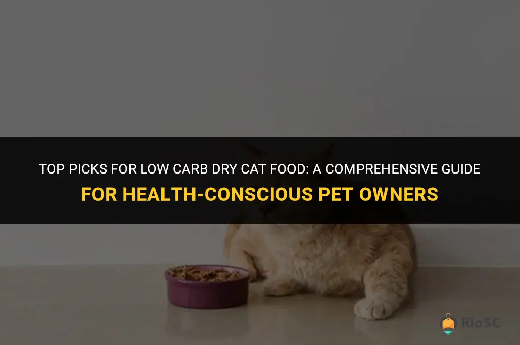 best low carb cat food dry