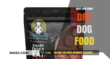 Top Low Carb Dry Dog Food Options for Optimal Canine Health