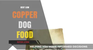 Top Low Copper Dog Food Options for Optimal Canine Health