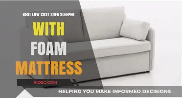 Discover the Ultimate Comfort: Top Low-Cost Sofa Sleeper with Foam Mattress for Your Home
