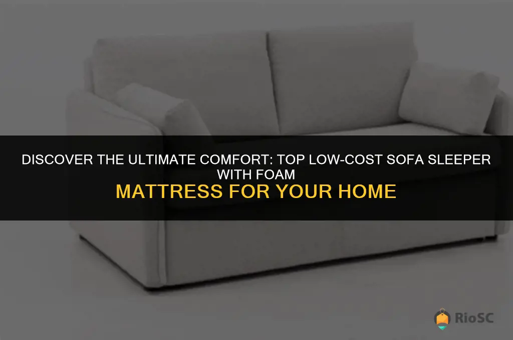 best low cost sofa sleeper with foam mattress