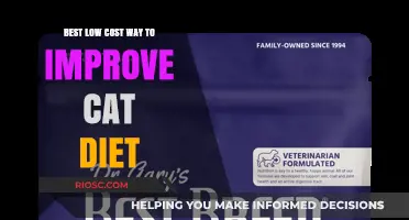 Affordable Nutrition: Simple Steps to Enhance Your Cat's Diet Without Breaking the Bank