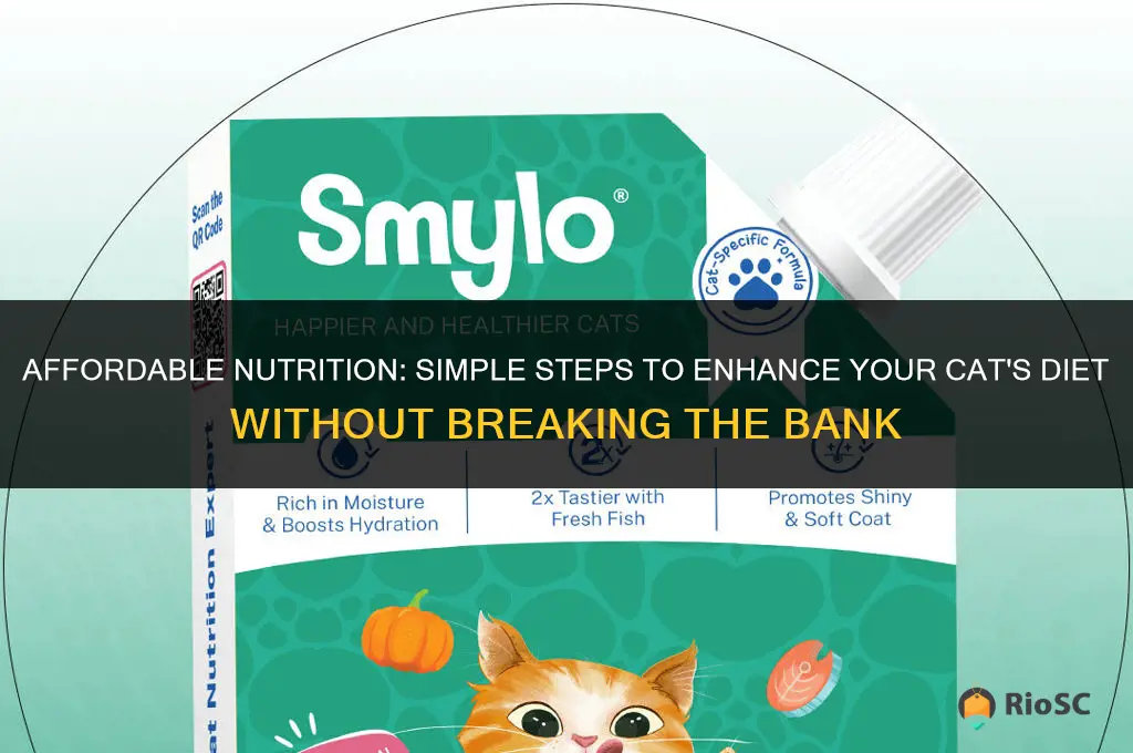 best low cost way to improve cat diet