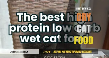 Top Picks for Low-Carb Dry Cat Food: A Comprehensive Guide