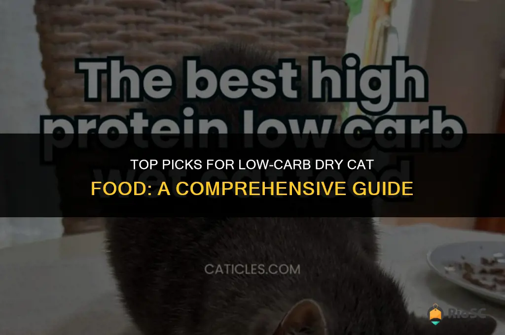best low czl dry cat food