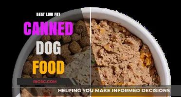 Top Picks for Healthy Pups: Best Low-Fat Canned Dog Food Options