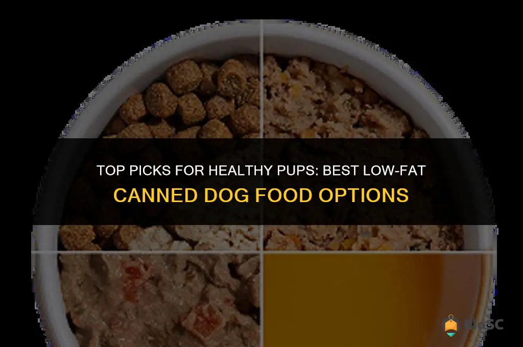 best low fat canned dog food