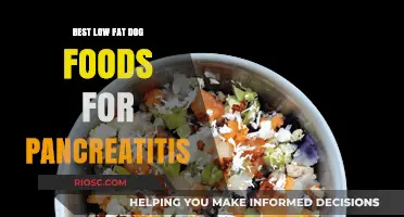 Nutritious and Gentle: Top Low-Fat Dog Foods to Support Pancreatitis Recovery