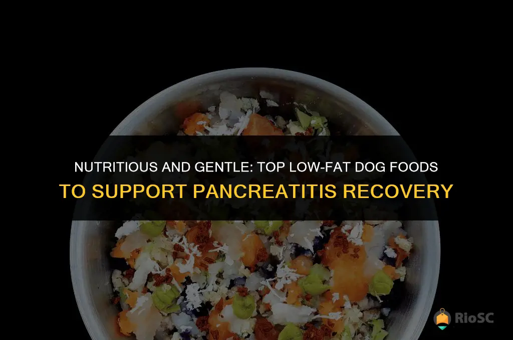 best low fat dog foods for pancreatitis
