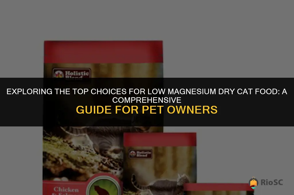 best low magnesium dry cat food