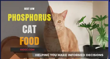 Top Picks for Low Phosphorus Cat Food: Supporting Your Feline's Health