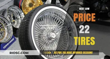 Affordable and Reliable: Top Low-Price 22-Inch Tires for Every Budget