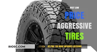 Affordable Aggression: Top Low-Price Tires for High-Performance Driving