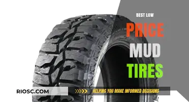 Affordable Off-Road Performance: Top Low-Price Mud Tires for Every Adventure