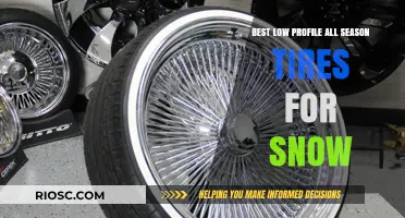 Top Picks for Low-Profile All-Season Tires: Snow Performance Guaranteed