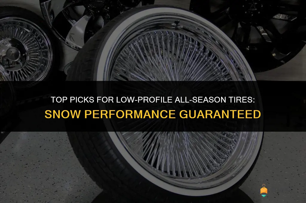 best low profile all season tires for snow