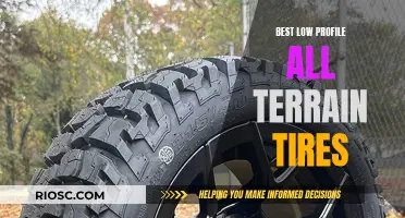 Stealthy Strength: Discovering the Ultimate Low-Profile All-Terrain Tires