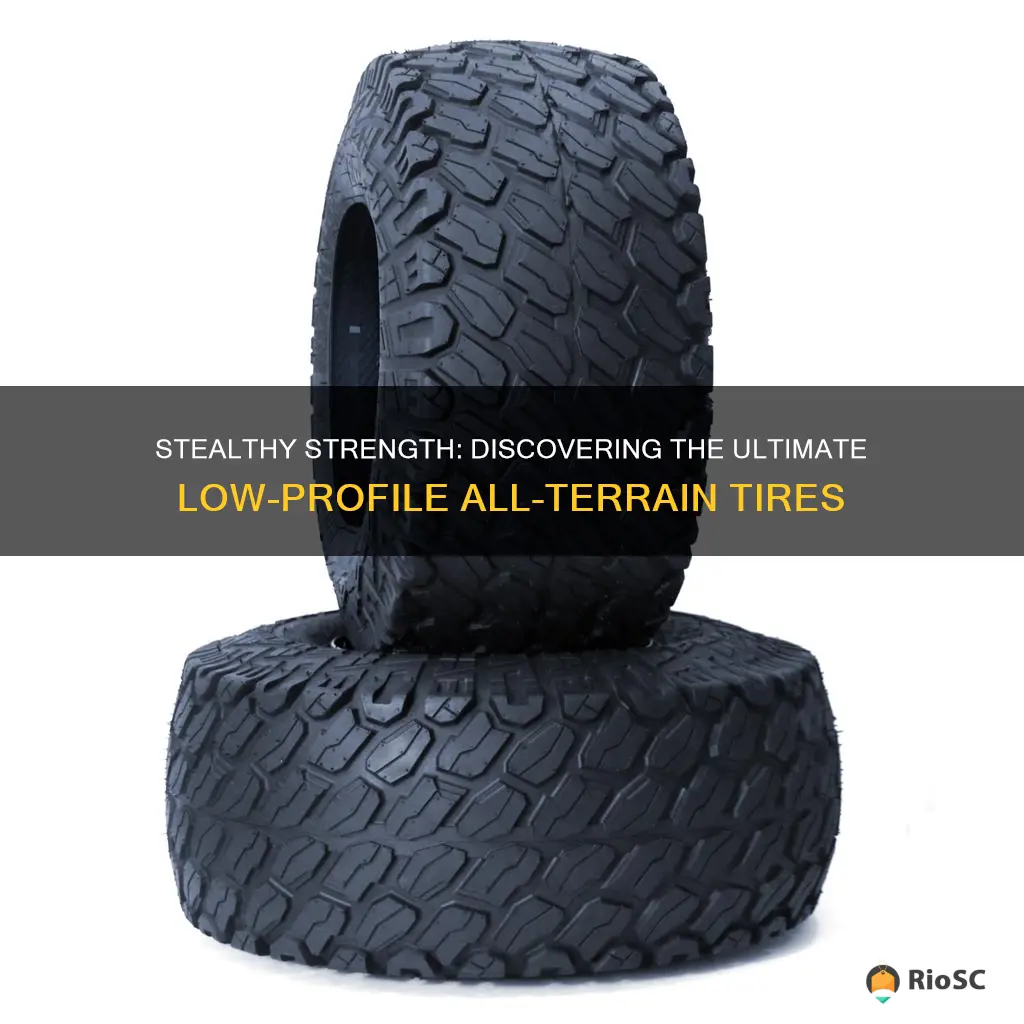 best low profile all terrain tires