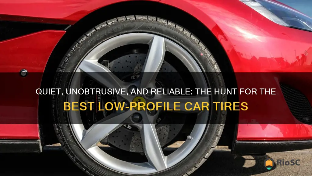 best low profile car tires