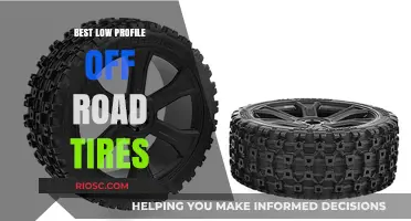 Top Low Profile Off-Road Tires for Smooth Performance and Rugged Terrain Dominance