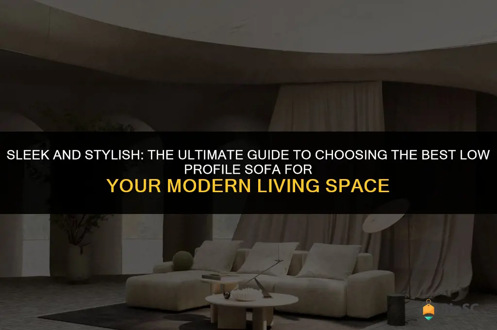 best low profile sofa