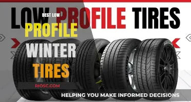 Top Picks for Low Profile Winter Tires: Stay Safe and Stylish on the Road