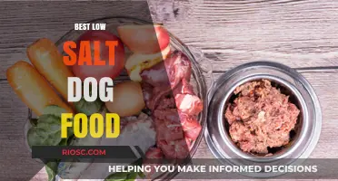 Healthy Choices: Top Low-Sodium Dog Foods for Optimal Canine Health