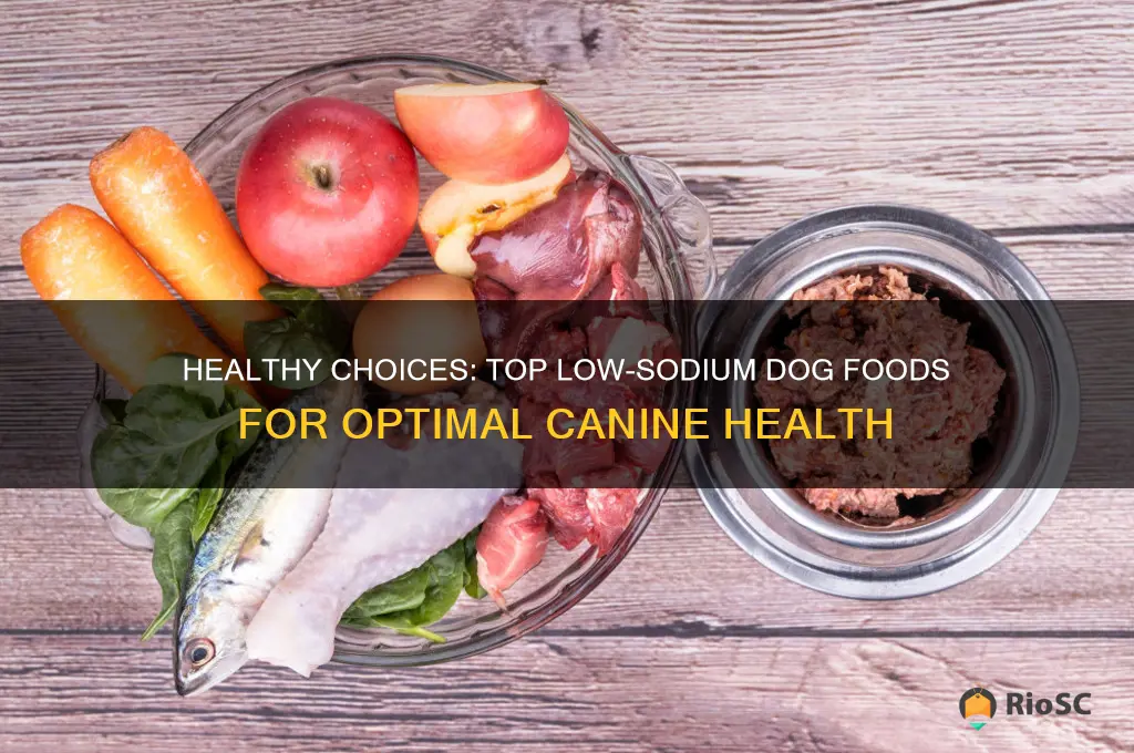 best low salt dog food