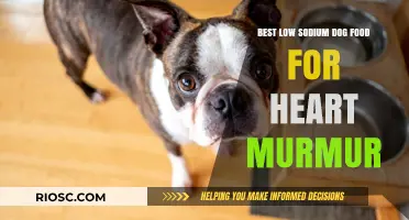 Heart-Healthy Choices: Top Low Sodium Dog Foods for Managing Heart Murmurs
