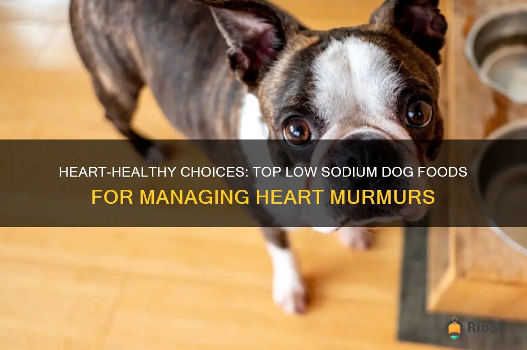 best low sodium dog food for heart murmur