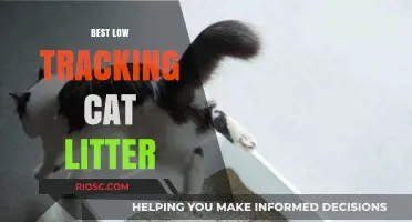 Top Picks for Low-Tracking Cat Litter: Keep Your Home Clean and Your Cat Happy