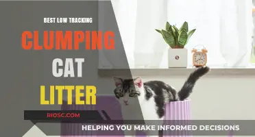 Top Picks for Low-Tracking Clumping Cat Litter: Keep Your Home Clean and Your Cat Happy