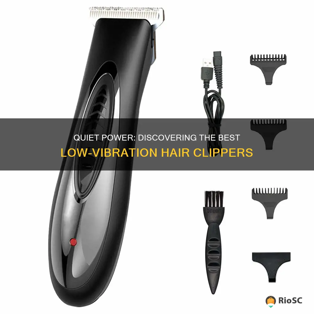 best low vibration hair clippers