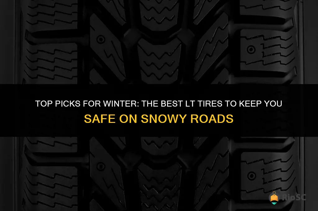 best lt tires for winter