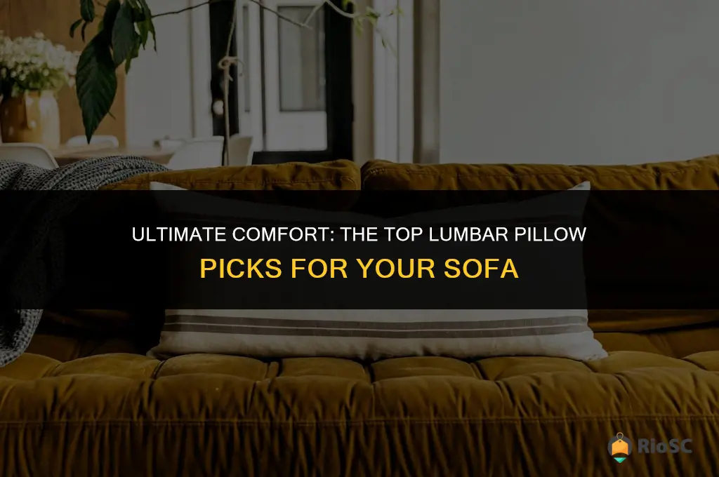 best lumbar pillow for sofa